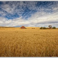 The farm house ruins made famous after appearing on the cover of the Midnight Oil Album in 1987. Near Burra in Sth Australia